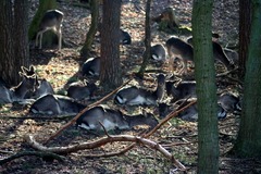 Killikus&reg; Fotographie